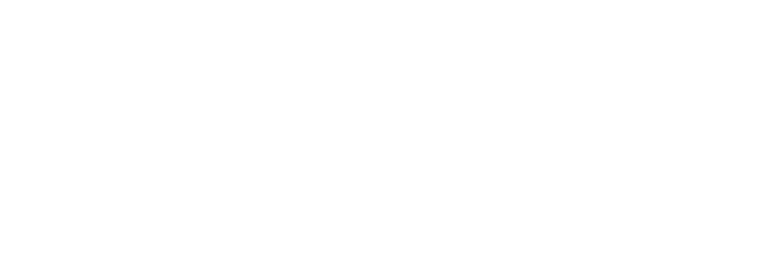 box novo 2